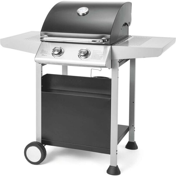 Fieldmann FZG 3102 Kerti gázgrill