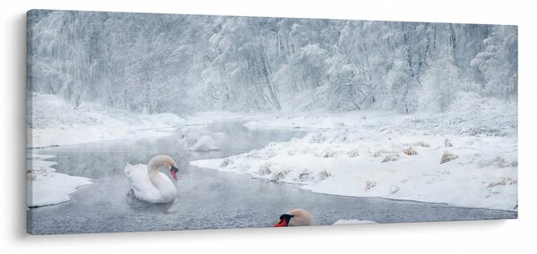 Hattyú képe (120x50 cm)