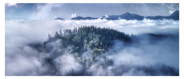 Egy erdő képe a ködben (120x50 cm)