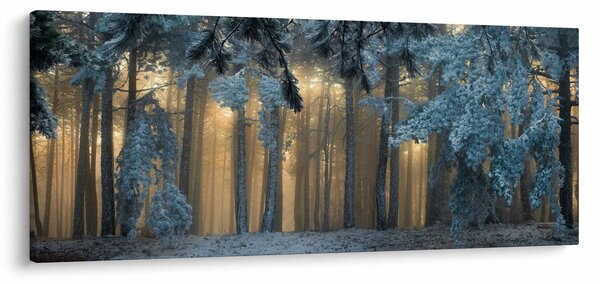 A havas erdő képe (120x50 cm)