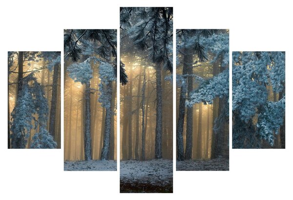 A havas erdő képe (150x105 cm)