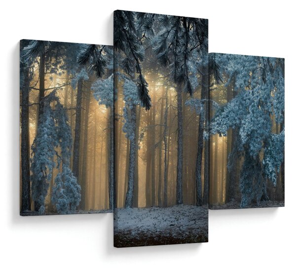 A havas erdő képe (90x60 cm)