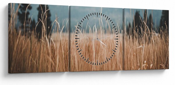 Kép - réti növényzet részlete (órával) (90x30 cm)
