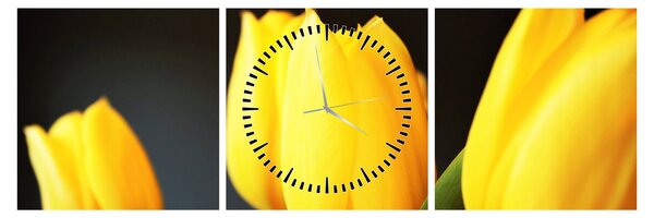 Tulipán képe (órával) (90x30 cm)