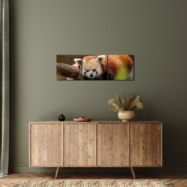Vörös panda képe (órával) (90x30 cm)