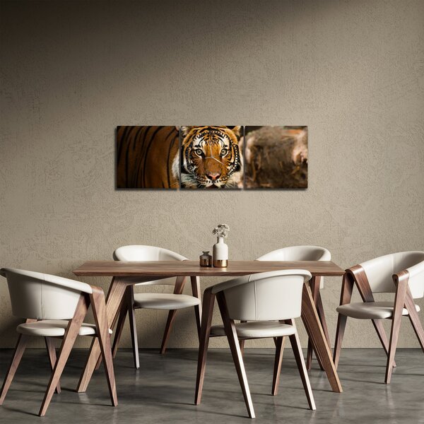 Tigris képe (órával) (90x30 cm)