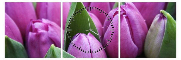 Kép - tulipánok (órával) (90x30 cm)