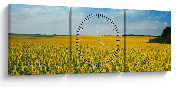 Kép - napraforgó (órával) (90x30 cm)