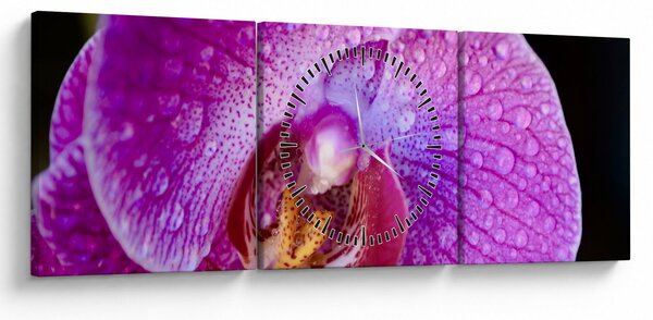 Részletes kép az orchidea virágról (órával) (90x30 cm)