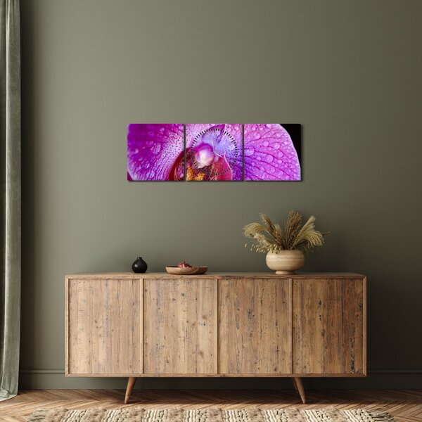 Részletes kép az orchidea virágról (órával) (90x30 cm)