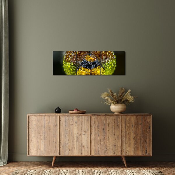 Részletes kép a rovar szemről (órával) (90x30 cm)