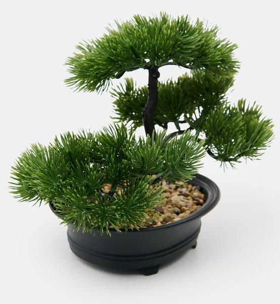 Sinsay - Dísznövény – bonsai fa - zöld
