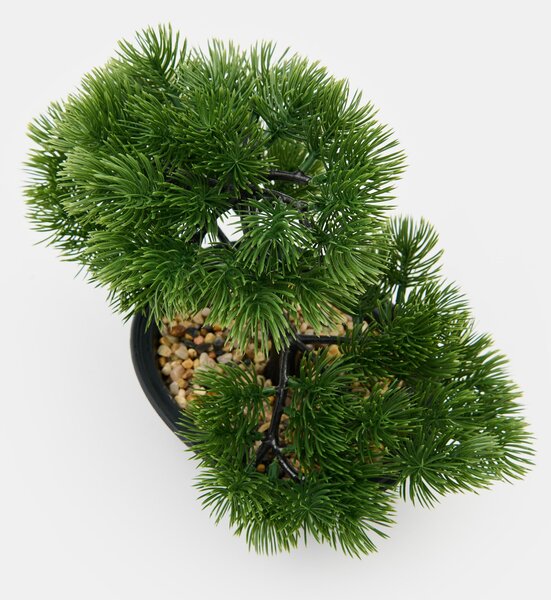 Sinsay - Dísznövény – bonsai fa - zöld