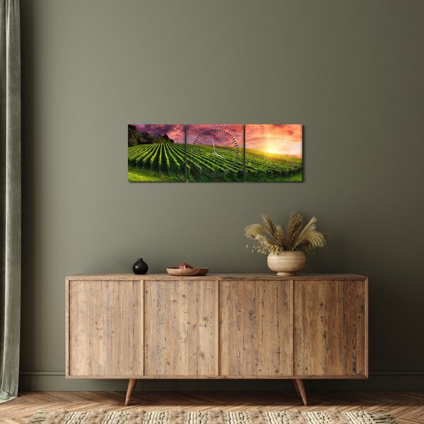 Szőlőskert és a színes égbolt képe (órával) (90x30 cm)