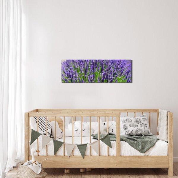 Kép - levandula (órával) (90x30 cm)