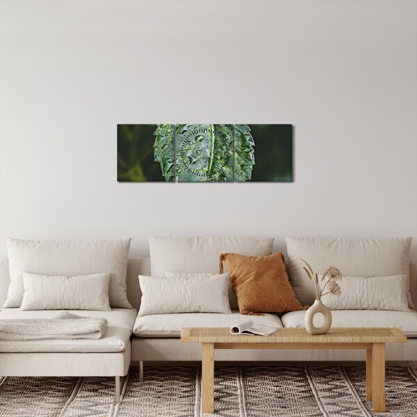 Kép - cseppek a levelen (órával) (90x30 cm)