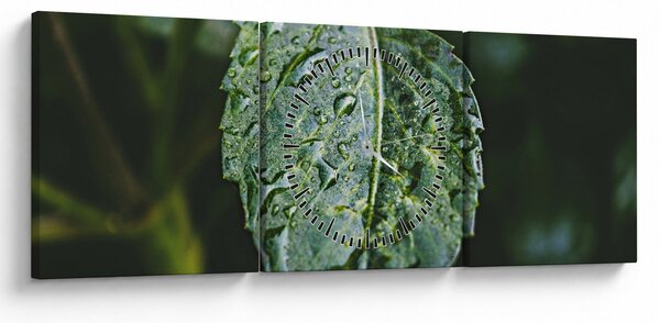 Kép - cseppek a levelen (órával) (90x30 cm)