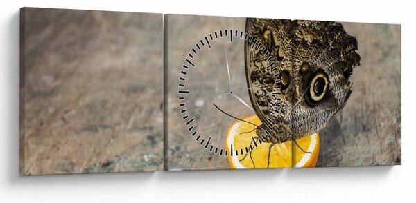 Pillangó képe (órával) (90x30 cm)