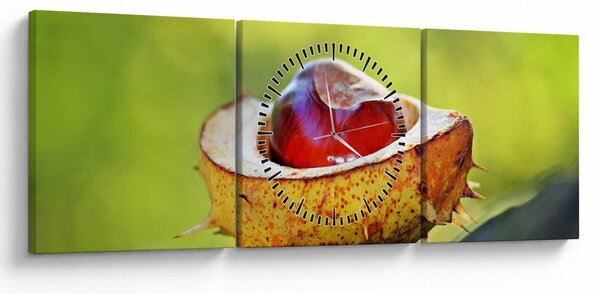 Gesztenye képe (órával) (90x30 cm)