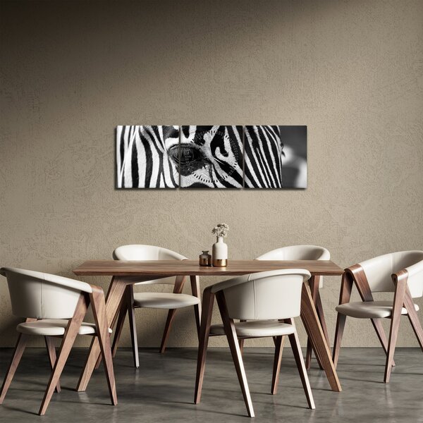 Zebra képe (órával) (90x30 cm)