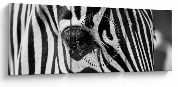 Zebra képe (órával) (90x30 cm)