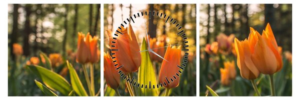 Narancssárga tulipán képe (órával) (90x30 cm)