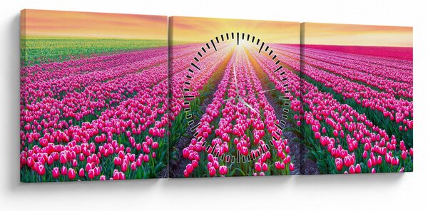 Tulipán mező és a nap képe (órával) (90x30 cm)