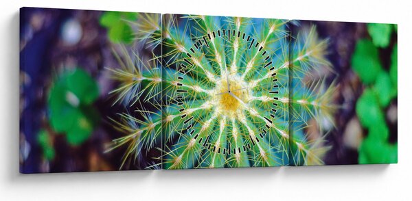 Kaktusz kép (órával) (90x30 cm)