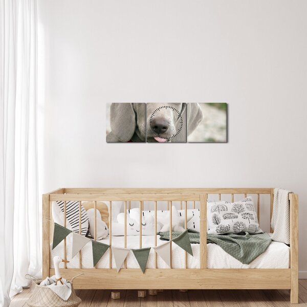 Kép - weimaraner kölyökkutya (órával) (90x30 cm)