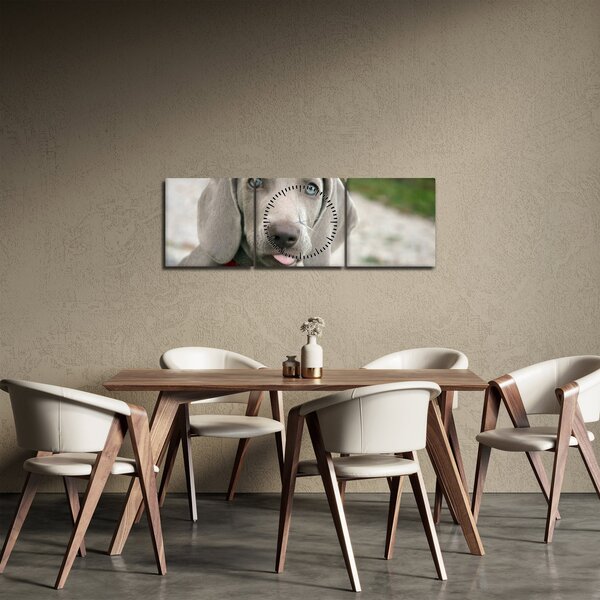 Kép - weimaraner kölyökkutya (órával) (90x30 cm)