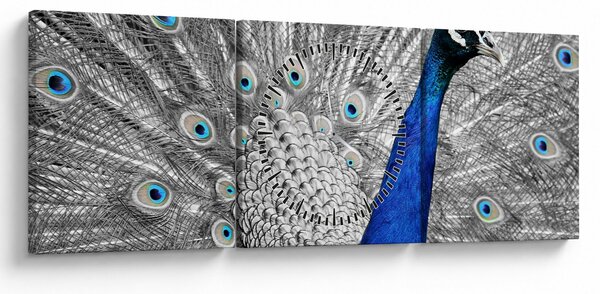 Kék páva képe (órával) (90x30 cm)