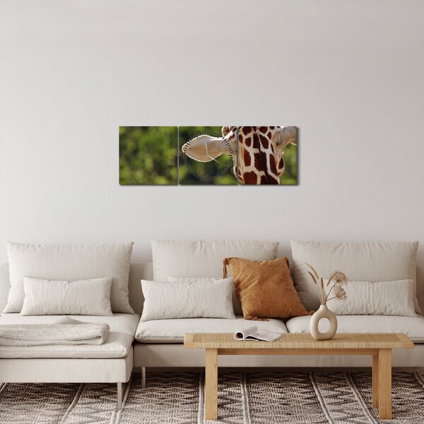 A zsiráf képe hátulról (órával) (90x30 cm)