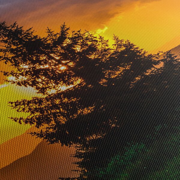 Kép - tűlevelűek (120x50 cm)