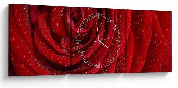 Kép - részlet a rózsáról (órával) (90x30 cm)