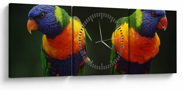 Papagájok képe (órával) (90x30 cm)