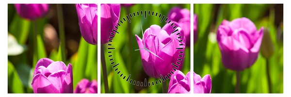 Tulipánok a réten képe (órával) (90x30 cm)