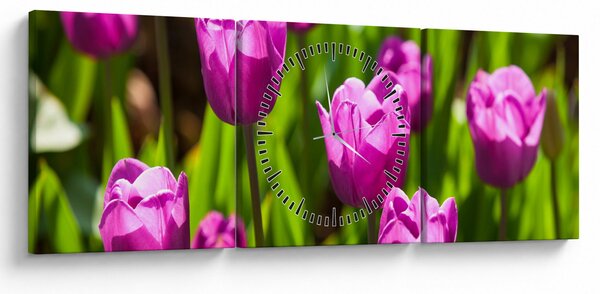 Tulipánok a réten képe (órával) (90x30 cm)