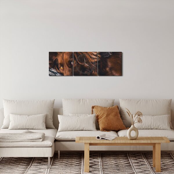 Egy kép fekvő kutyákról (órával) (90x30 cm)