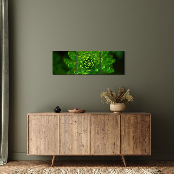 Tűlevelű képé (órával) (90x30 cm)