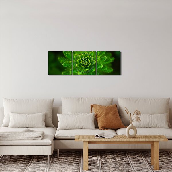 Tűlevelű képé (órával) (90x30 cm)