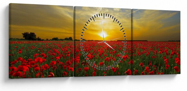 Egy kép a pipacs mezőről (órával) (90x30 cm)