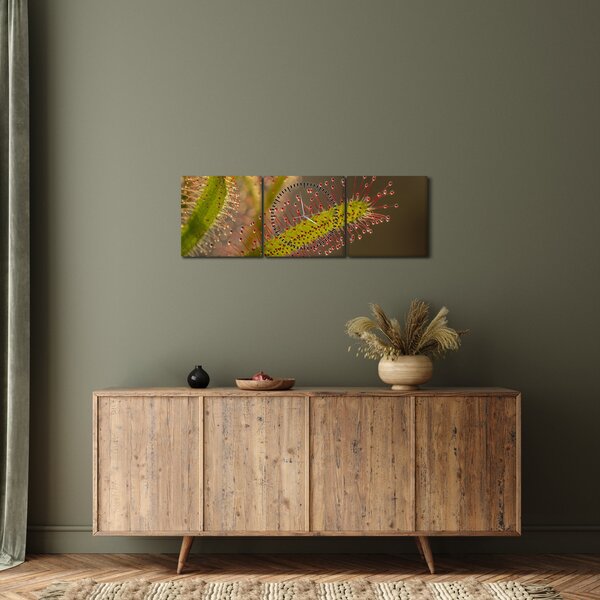 A növény képe (órával) (90x30 cm)