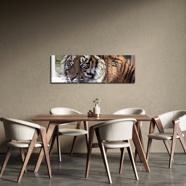 Tigris képe (órával) (90x30 cm)