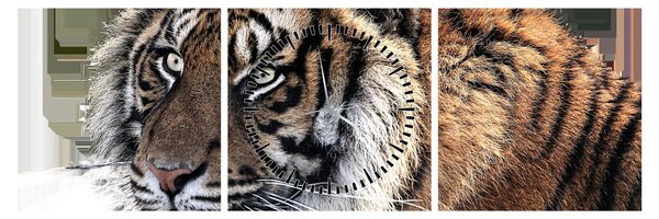 Tigris képe (órával) (90x30 cm)