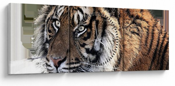Tigris képe (órával) (90x30 cm)