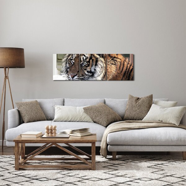 Tigris képe (órával) (90x30 cm)