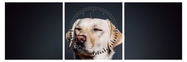 Labrador képe (órával) (90x30 cm)