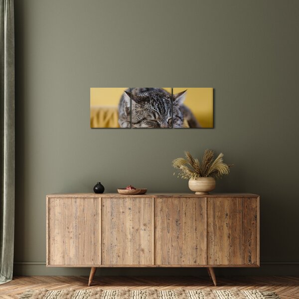 Macska a kanapén képe (órával) (90x30 cm)