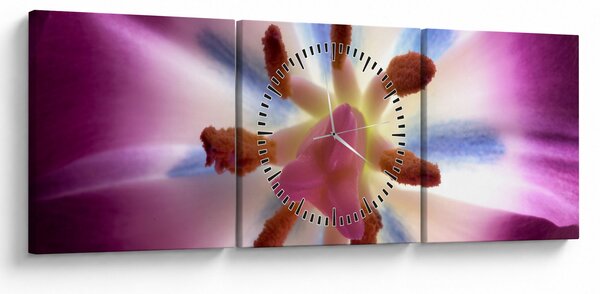 Kép - Tulipán virág részletesen (órával) (90x30 cm)