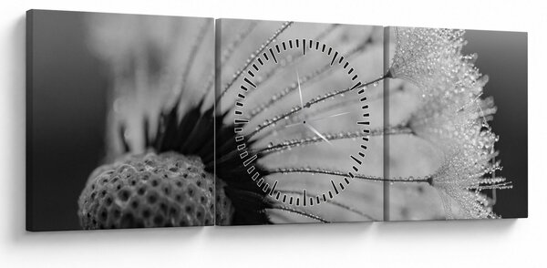 Pitypang képe - fekete fehér (órával) (90x30 cm)